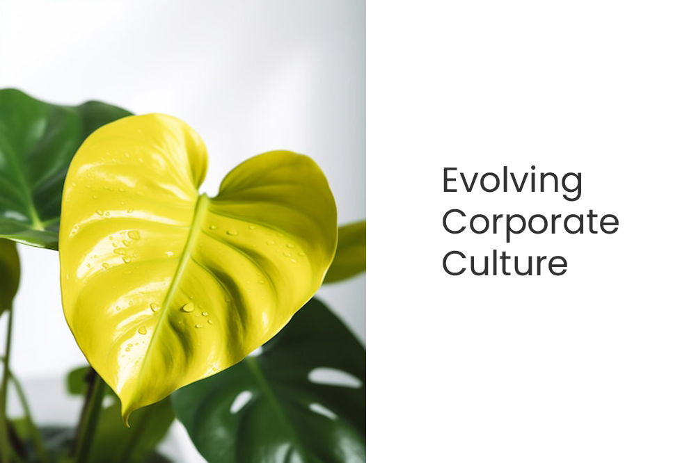 Workplace Wellness: Evolving Corporate Culture